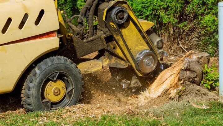 An image of Stump Removal in Orangevale, CA